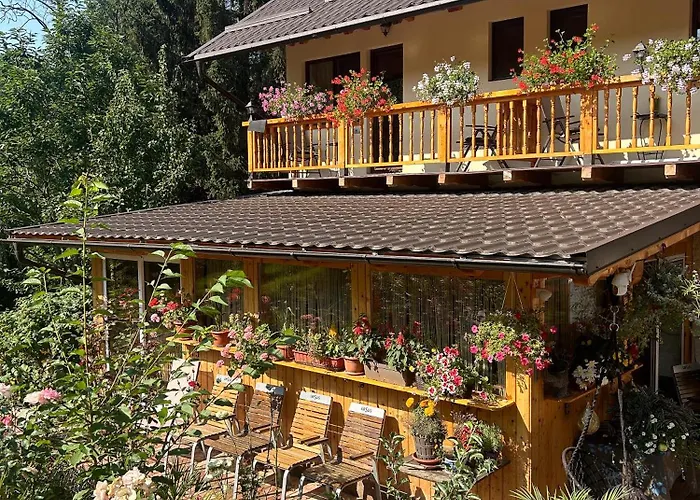 Casa Armonia Hotel Bran 